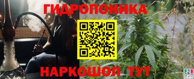 прущие грибы Северобайкальск