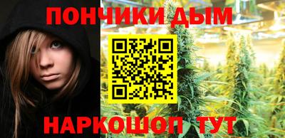 прущие грибы Северобайкальск