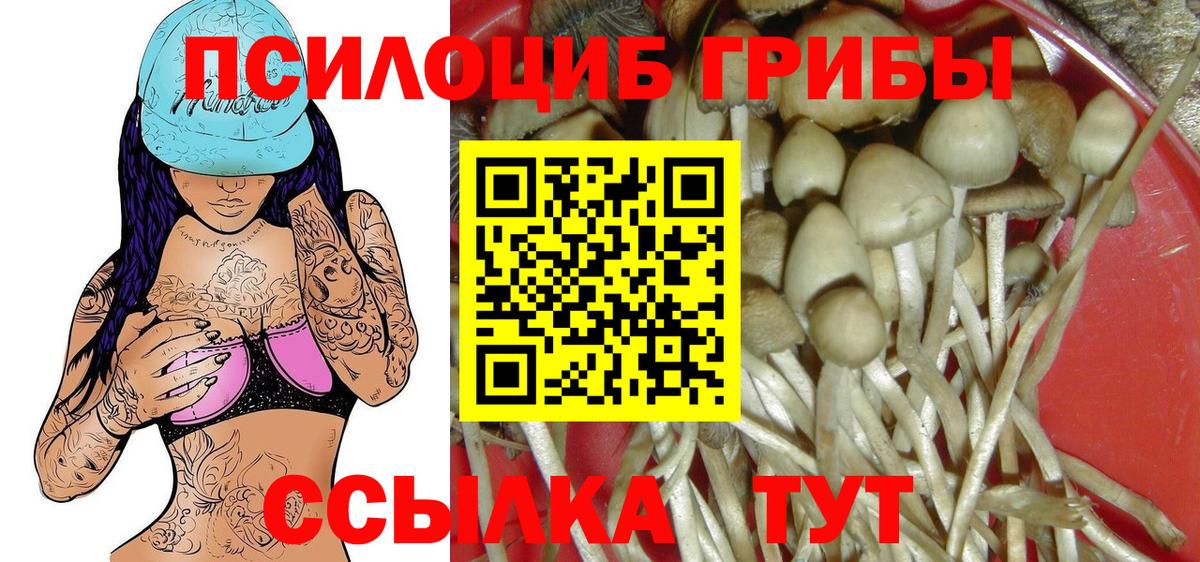 Галлюциногенные грибы GOLDEN TEACHER Орск
