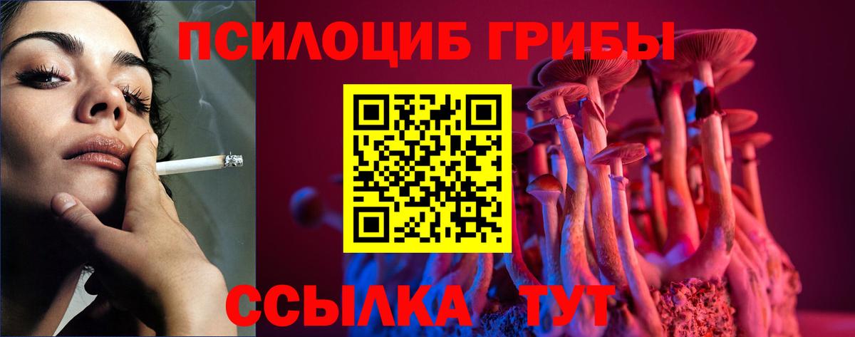 Орск  Псилоцибиновые грибы GOLDEN TEACHER  Вход с VPN  Псилоцибиновые грибы прущие грибы 